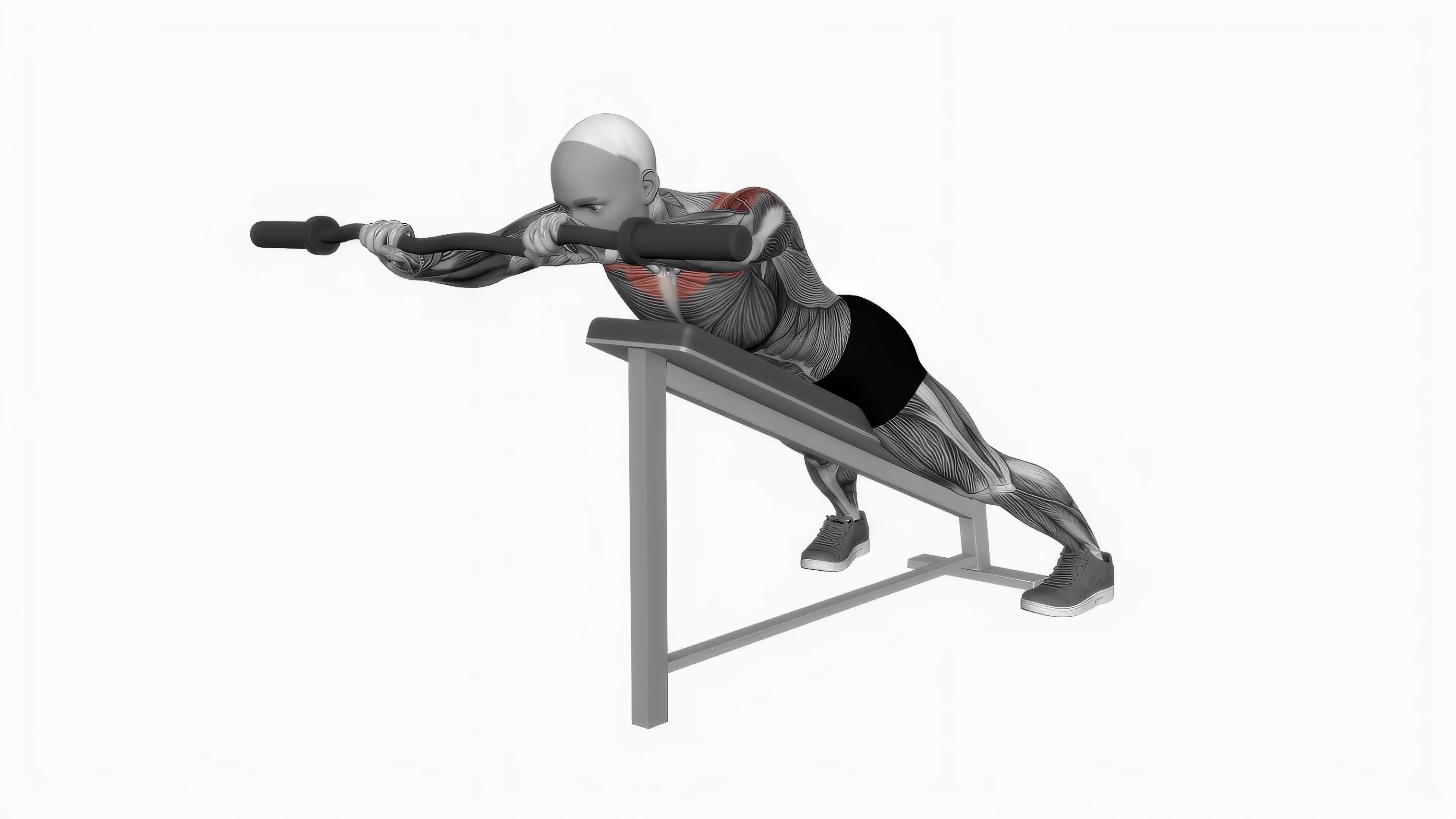 Ez bar anti gravity press fitness exercise workout animation video male