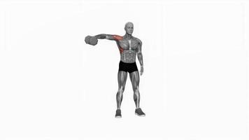Dumbbell one arm lateral raise fitness exercise workout animation video male muscle highlight 4K 60 fps
