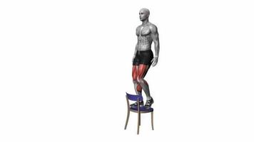 Schritt oben auf Stuhl Körpergewicht Fitness Übung trainieren Animation Video männlich Muskel Markieren 4k 60 fps