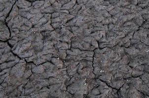 Cracked and barren ground,Dry soil textured background photo