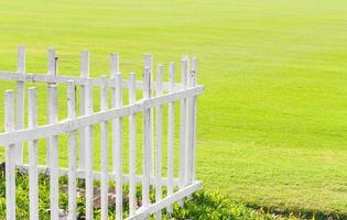 The lawn white wooden fence green grass in garden photo