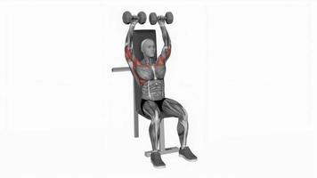 Dumbbell seated shoulder press fitness exercise workout animation video male muscle highlight 4K 60 fps
