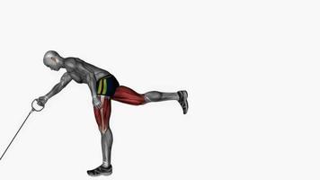 solteiro perna romena levantamento terra cabo resistência banda ginástica exercício exercite-se animação vídeo masculino músculo realçar 4k 60. fps video
