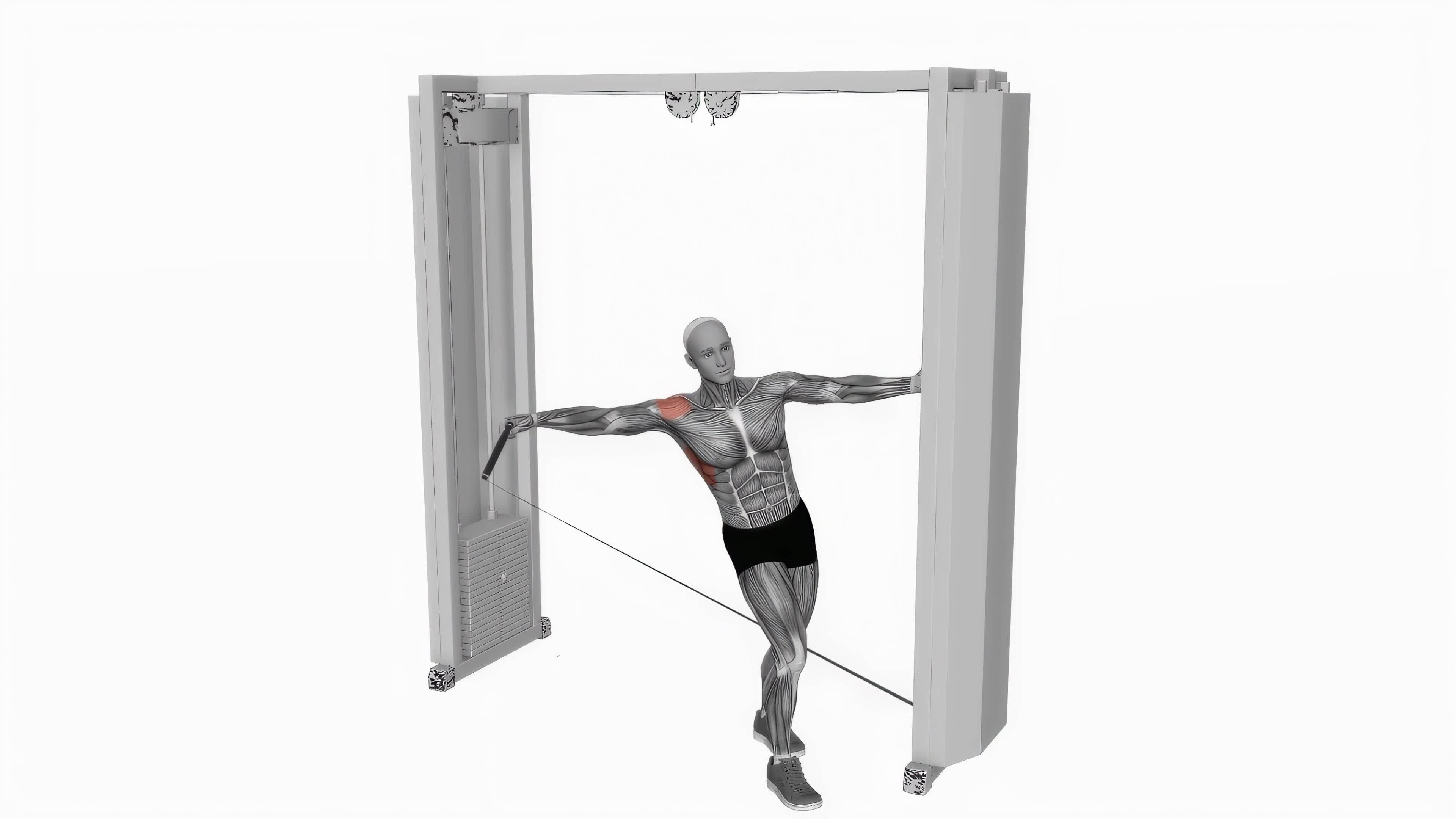 Cable leaning lateral raise fitness exercise workout animation video