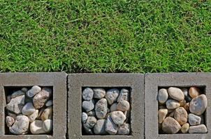 Ground is decorated in the garden with green grass, gravel and completes the survey. photo