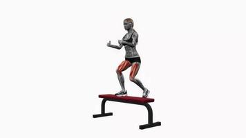 Bank abwechselnd Schritt UPS Fitness Übung trainieren Animation Video männlich Muskel Markieren 4k 60 fps