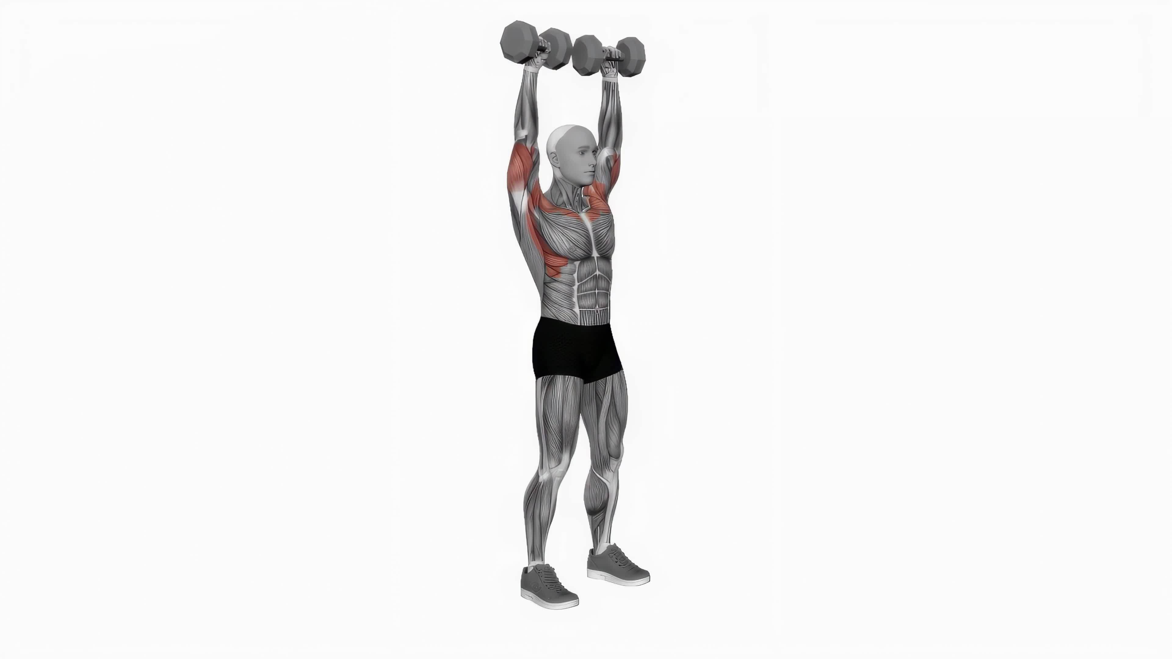 Dumbbell standing overhead press fitness exercise workout animation