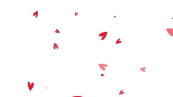 abstrakt Schleife rot Herz fließend Nieder auf Weiß Hintergrund. video