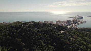 Aerial view Malaga Port with sunlight reflection from Mount Gibralfaro lush vegetation, Spain video