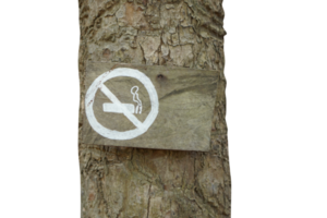 No de fumar firmar en el árbol png