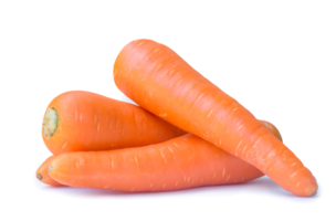 drei frisch Orange Möhren isoliert mit Ausschnitt Pfad und Schatten im png Datei Format, schließen oben von gesund Gemüse Wurzel mit voll Fokus