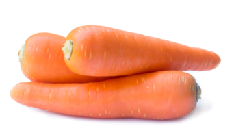 Three fresh orange carrots isolated with clipping path and shadow in png file format, Close up of healthy vegetable root with full focus