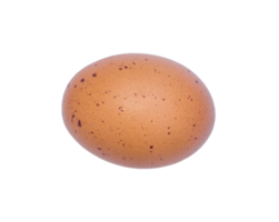 Flat laying of single fresh organic egg with spots isolated with clipping path in png file format, Healthy eating concept, Close up photo