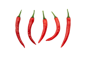 Group of red chili paper isolated png