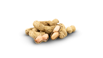 Group of peanut isolated for raw snack design element png
