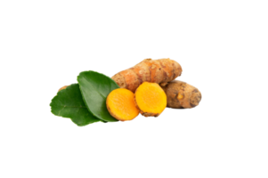 Curcuma con le foglie isolato per erba design elemento png