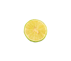 Slice of lime isolated for design element png