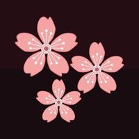 vector of pink cherry blossoms on a dark background
