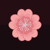 vector of pink cherry blossoms on a dark background