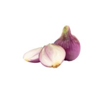 Red whole and slice onion isolated for element png