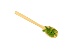 Basil leaves in a wooden spoon isolated png