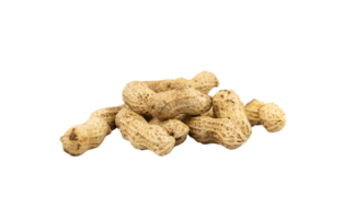 Group of peanut isolated for design element png