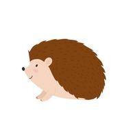 Hedgehog. Isolated on a white background. sticker. Cute vector illustration.