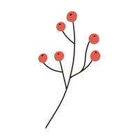 branch with berries icon image vector