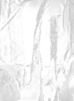 torn paper texture png