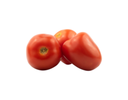 tomaat geïsoleerd voor ontwerp element png