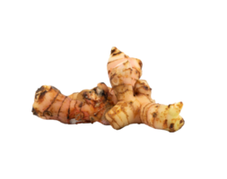 galangal isolated for ingredient element png