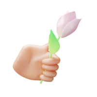 3D Illustration hand holding tulips png