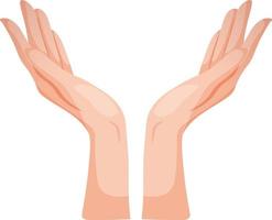 Vector image of hands pointing up. Two hands on a transparent background
