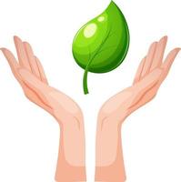 Vector image of hands pointing up with freen leaf on transparent background. Environment protection, renewable energy, sustainable development,  renewable energy, Ecolife