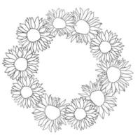 Sunflower head flower vector