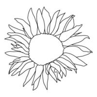 girasol cabeza flor vector