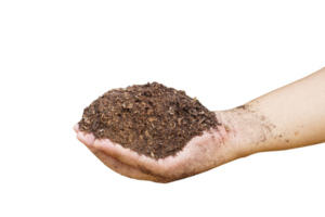 Soil for growing plants in human hands png
