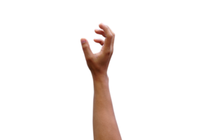 Human hand as if holding goods on top png