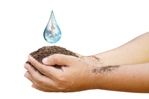 concept van besparing de wereld water druppels Aan menselijk hand- png