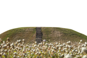 green grass has a path. png