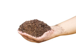 Soil for growing plants in human hands png