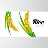 Premium Rice great quality design concept  vector. vector