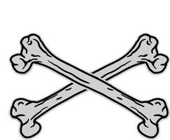 cruzado huesos vector símbolo humano huesos