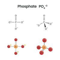 Phosphate anion chemical structure science vector graphics