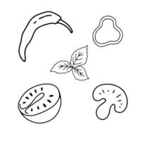 Outline set of vegetables. Pepper, tomato, mushroom piece isolated on white vector