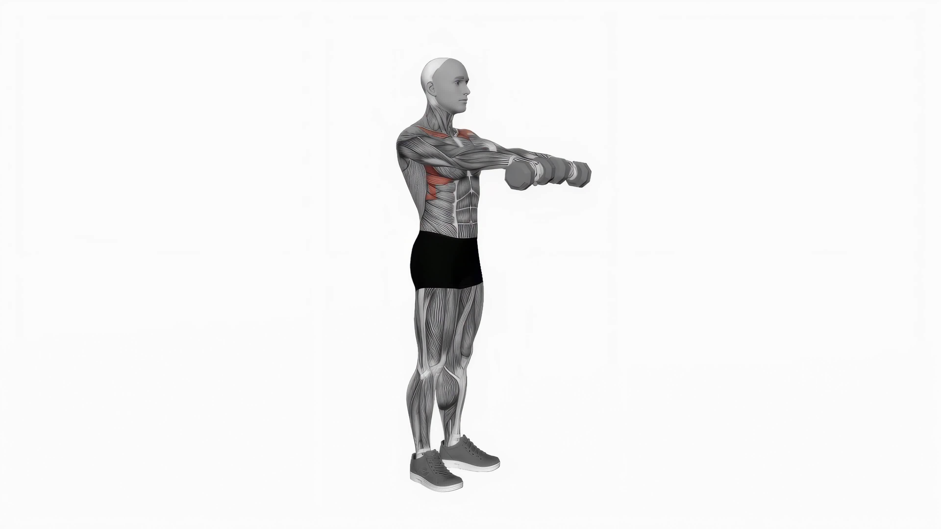 Dumbbell front raise fitness exercise workout animation video male