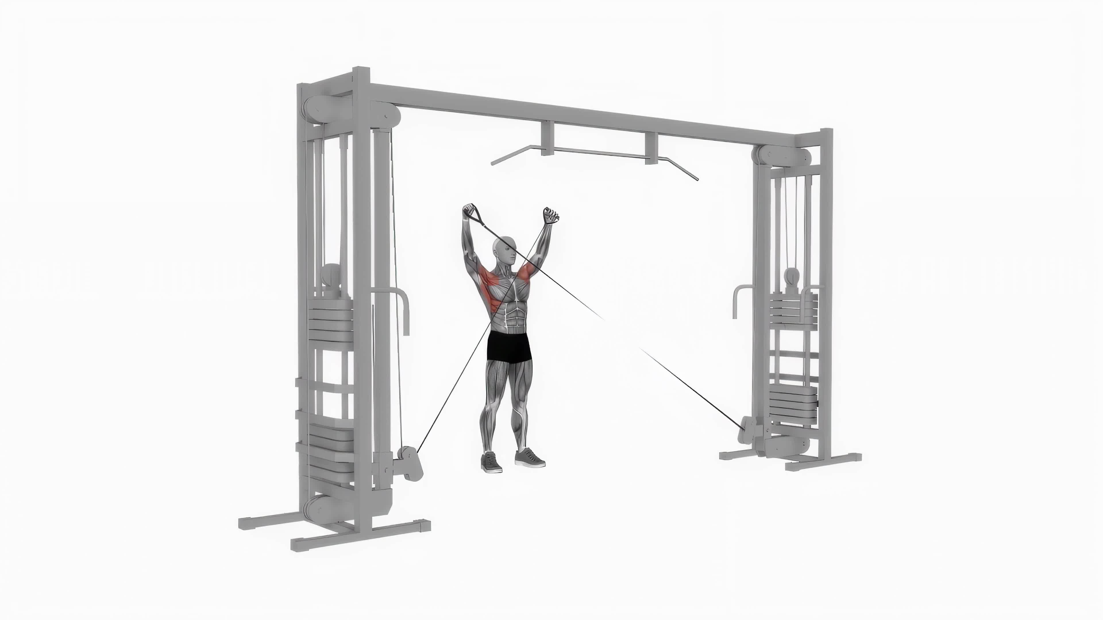 Cable Y raise fitness exercise workout animation video male muscle highlight 4K 60 fps 20953535