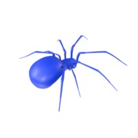 Spinne isoliert auf transparent Hintergrund png