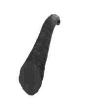 Apatosaurus Tier isoliert auf transparent Hintergrund png