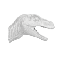 Raptor head isolated on transparent background png